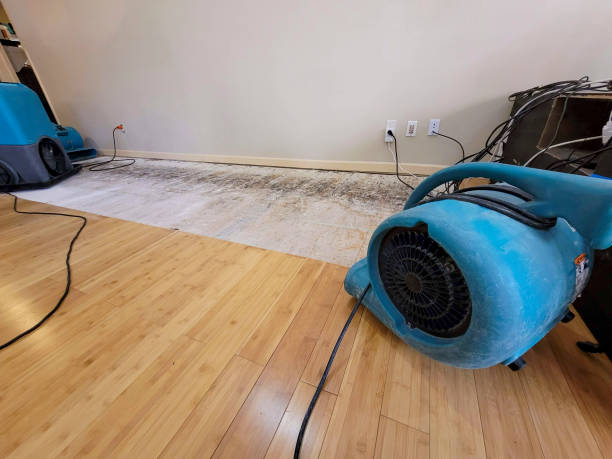 Professional Basement Flood Cleanup technician working in Shelton, CT